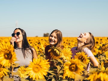 Amistad romántica: el motivo de muchas decepciones